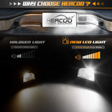 HERCOO LED License Plate Lights Cover Lens Socket Rear Lamp Wire Harness Compatible with Silverado Sierra Avalanche Suburban Escalade Yukon GMC Cadillac